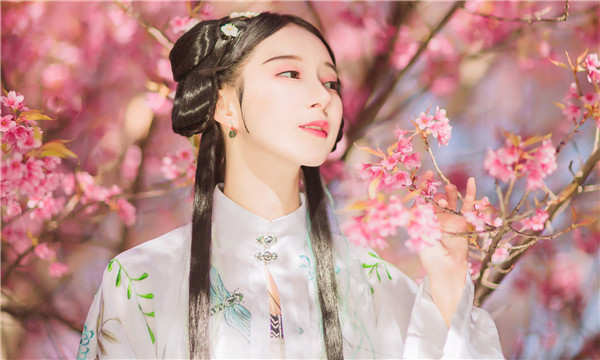 紫云试管助孕什么意思｜试管助孕的步骤